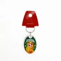 Брелок из пластика &laquo;Новогодний&raquo;, 6 шт., 5&times;4 см, МИКС