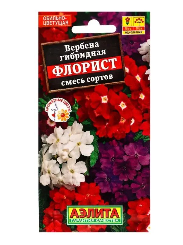 Семена цветов Вербена Флорист, смесь сортов , Ц/П,40 шт.