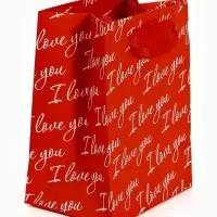 Пакет ламинированный Love you, 9 &times; 12 &times; 6,5 см