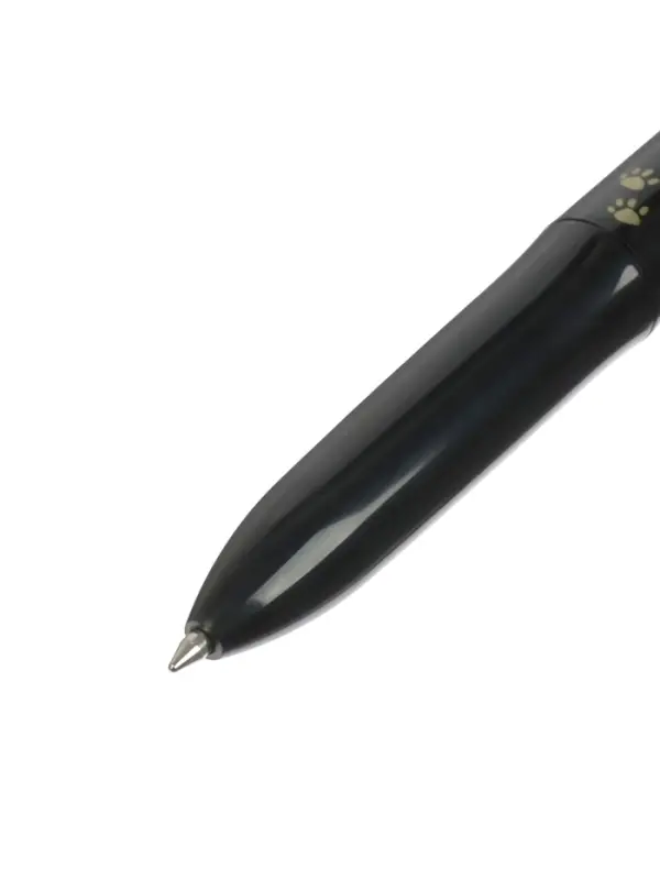 Набор ручек шариковых, 6 цветов, корпус в цвет чернил, в пластиковой упаковке