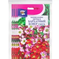 Набор семян Камнеломка "Бархатный ковер", 5 шт.