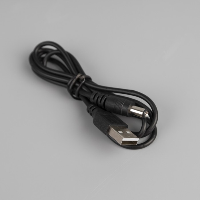 Светодиодный куст &laquo;Цветы&raquo; 45 см, 24 LED, постоянное свечение, батарейки ААх3 (не в комплекте), USB, свечение тёплое белое