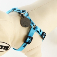 Комплект &laquo;Дай пять!&raquo;, шлейка 26-39 см, поводок 120х1 см, медальон