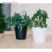 Кашпо «Дюна», 8,5 л, цвет белый Кашпо «Дюна», 8,5 л, цвет белый