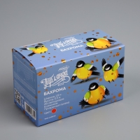 Гирлянда &laquo;Бахрома&raquo; 1.8 &times; 0.5 м, IP20, прозрачная нить, 48 LED, свечение красное, 8 режимов, 220 В