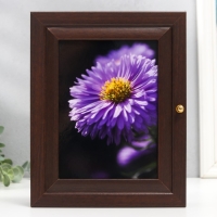 Ключница "Яркий цветок" венге 19х24 см МИКС Ключница "Яркий цветок" венге 19х24 см МИКС