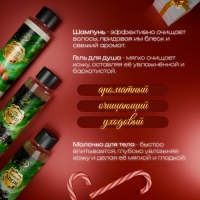 Новый год. Новогодний подарочный набор косметики &laquo;Новогодние огни&raquo;, с ароматом миндаля и хвои. Зеленая серия