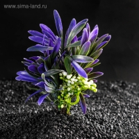 Растение искусственное аквариумное, 14,5 х 13 х 13 см Растение искусственное аквариумное, 14,5 х 13 х 13 см