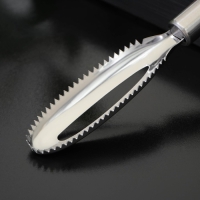 Рыбочистка Доляна &laquo;Металлик&raquo;, 16,5 см, цвет серебристый