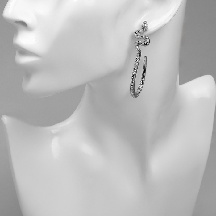 Новый год! Символ года 2025! Серьги металл &laquo;Змея&raquo; грациозная, круг, цвет серебро