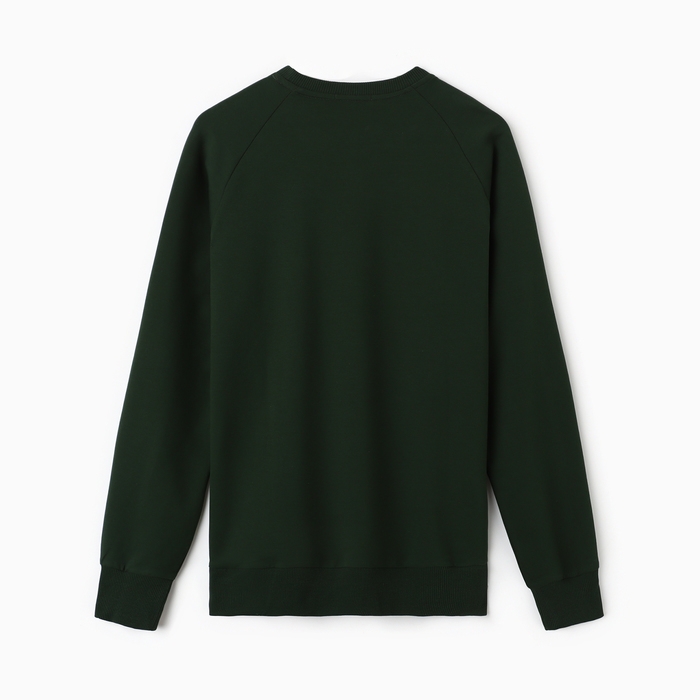 Толстовка мужская MIST Men's collection, р. 50, зеленый Толстовка мужская MIST Men's collection, р. 50, зеленый
