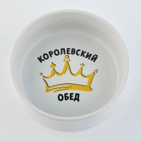 Миска керамическая &laquo;Королевский обед&raquo;, 300 мл, для кошек и собак
