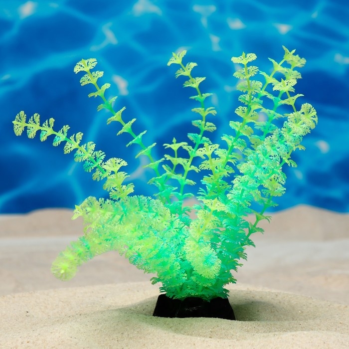 Растение искусственное аквариумное, светящееся, 18 см, зелёное Растение искусственное аквариумное, светящееся, 18 см, зелёное
