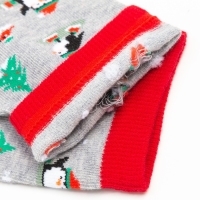 Носки женские &laquo;Пингвин&raquo;, цвет светло-серый, размер 23-25