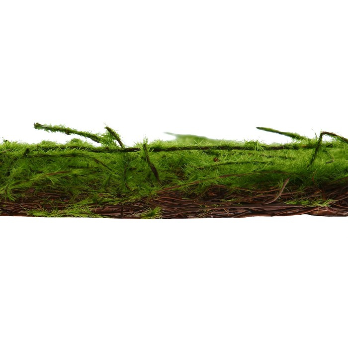 Декоративная панель, 90 &times; 40 см, &laquo;Мох&raquo;, Greengo