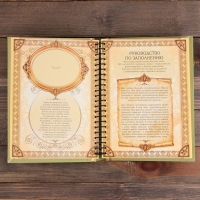 Родословная книга «Семейная летопись», 30 листов, 24,5 х 29,2 см Родословная книга «Семейная летопись», 30 листов, 24,5 х 29,2 см