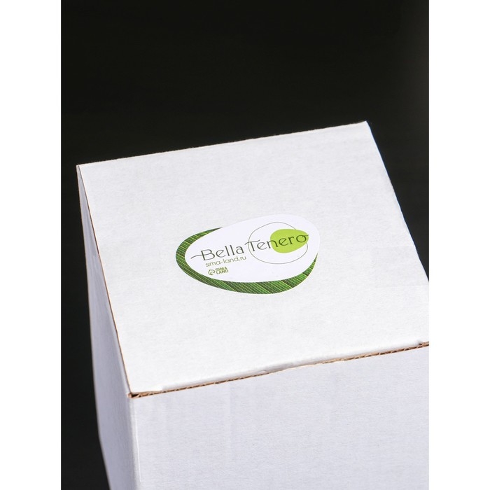 Кувшин стеклянный с бамбуковой крышкой BellaTenero &laquo;Эко&raquo;, 1,5 л