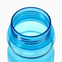 Бутылка для воды пластиковая "Паутинка" 500 мл