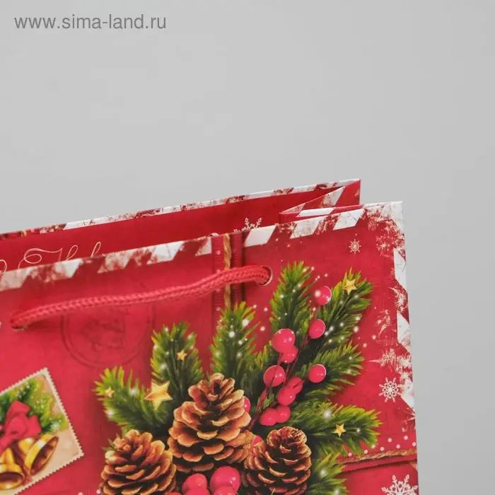 Пакет подарочный новогодний ламинированный &laquo;Подарок от Деда Мороза&raquo;, MS 18 х 23 х 11.5 см