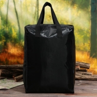 Термосумка &laquo;Ходить в поход&raquo;, 25 л