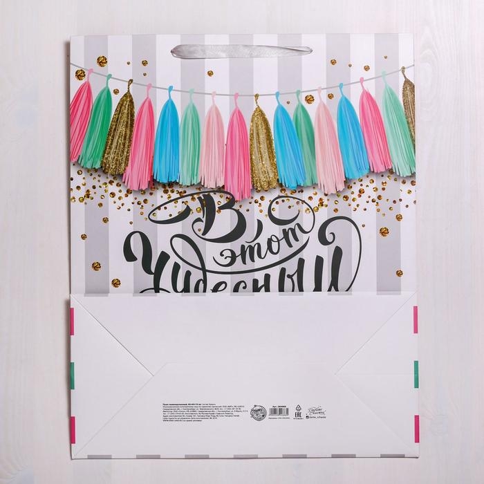 Пакет подарочный ламинированный, упаковка, &laquo;В этот чудесный день&raquo;, XL 49 х 40 х 19 см