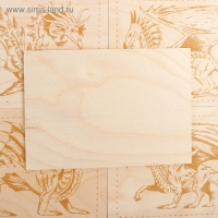 Доски для выжигания, 4 шт.: 19 × 13 см, серия "Драконы" + 1 чистая доска Доски для выжигания, 4 шт.: 19 × 13 см, серия "Драконы" + 1 чистая доска