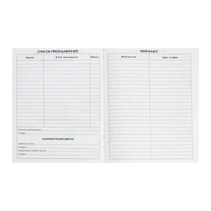 Дневник школьный для 1-11 классов, &laquo;Девочка со скейтом&raquo;, твёрдая обложка 7БЦ, глянцевая ламинация, 40 листов