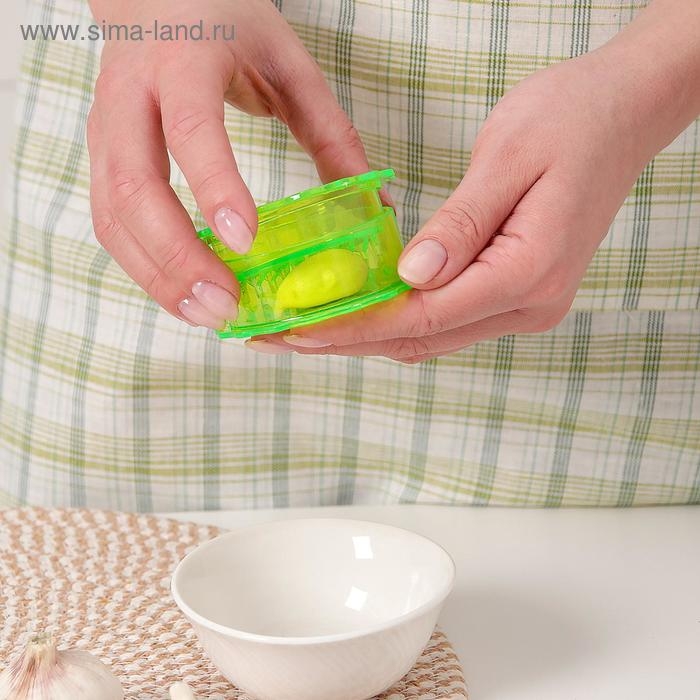 Измельчитель для чеснока Доляна &laquo;Хранитель&raquo;, 8&times;3 см, цвет МИКС