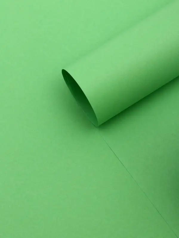 Бумага упаковочная крафт &laquo;Зеленый&raquo;,50&times;70 см