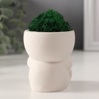 Кашпо бетонное "Мистер Зло" со мхом 7*6*6,5 см белый (мох зеленый стабилизированный)