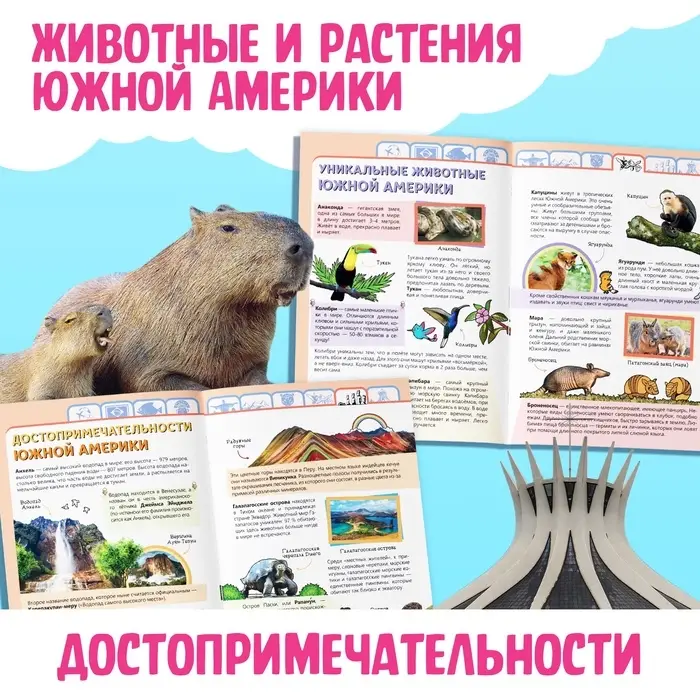Энциклопедия детская &laquo;Южная Америка&raquo;, 16 стр., 5+