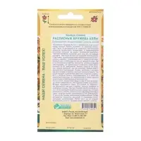 Семена Колеус блюме  "Кружева Аллы",  10 шт