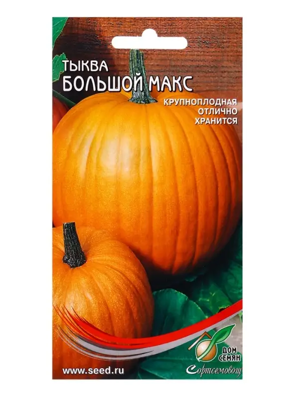 Семена Тыква Большой Макс 5 шт