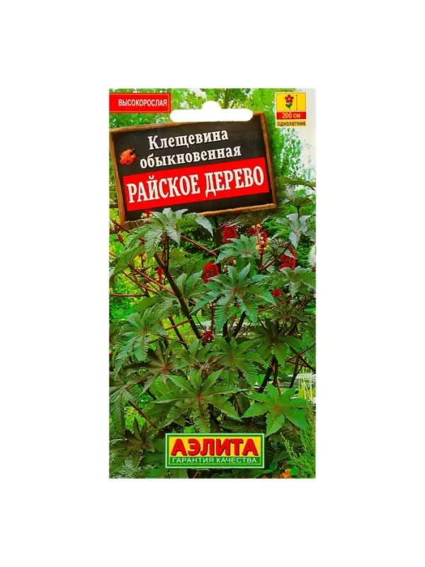 Набор семян Клещевина "Райское дерево", О, 5 шт.