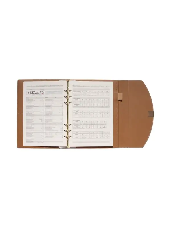 Органайзер на кольцах, A5, с клапаном, 80л, линия, к/зам, Бирюзовый