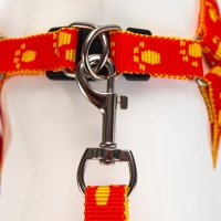 Комплект "Большая лапа", ширина 1,5 см, поводок 120 см, шлейка 28-42 см, оранжево-жёлтый Комплект "Большая лапа", ширина 1,5 см, поводок 120 см, шлейка 28-42 см, оранжево-жёлтый