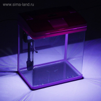 Аквариум SeaStar LS-380F в комплекте: LED-лампа, фильтр, 30 л, розовый Аквариум SeaStar LS-380F в комплекте: LED-лампа, фильтр, 30 л, розовый