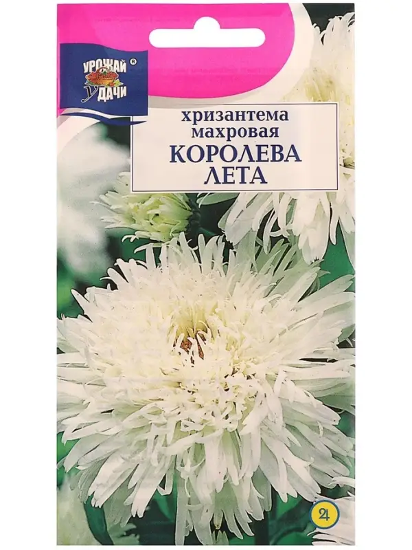 Семена цветов Хризантема многоцветковая "КОРОЛЕВА ЛЕТА", 0,03 г