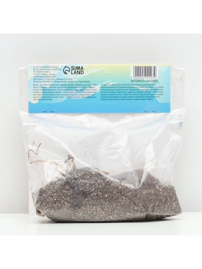 Лилия О.Т. Гибрид Orange Space, луковица в пакете с перфорацией, р-р 12/14, 2 шт.