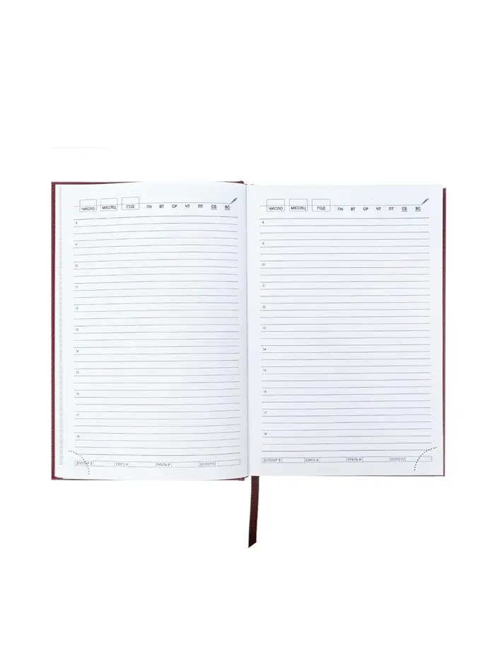 Ежедневник недатир А5 160л Небраска бордо