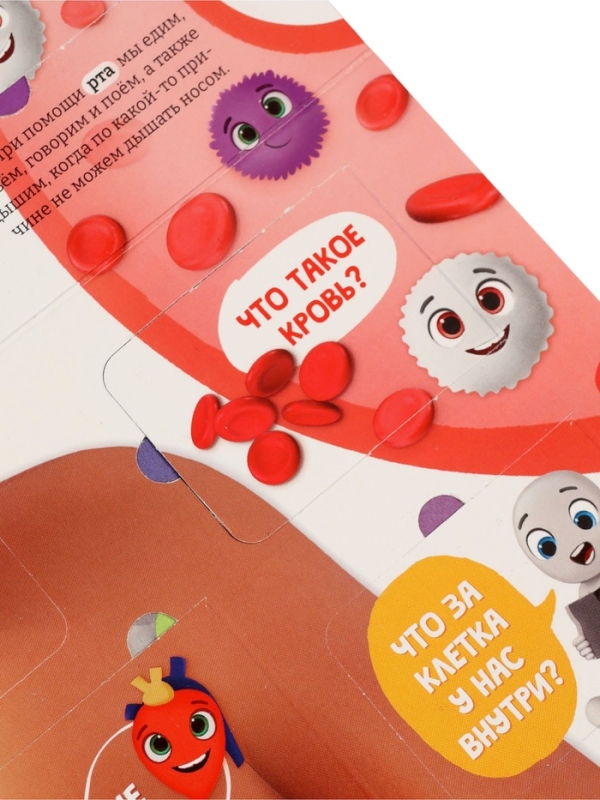 Книга - раскладушка детская &laquo;Как устроено моё тело&raquo;, 40 окошек