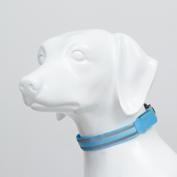 Ошейник с подсветкой Двойная полоса размер L, ОШ 45-52 х 2,5 см 3 режима свечения голубой