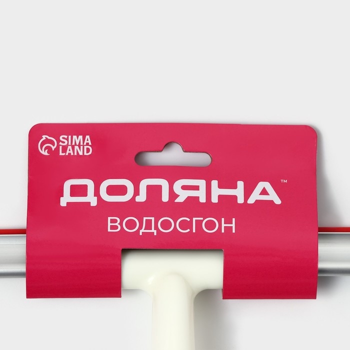 Водосгон Доляна, 25&times;20 см, пластиковая ручка, силиконовый сгон