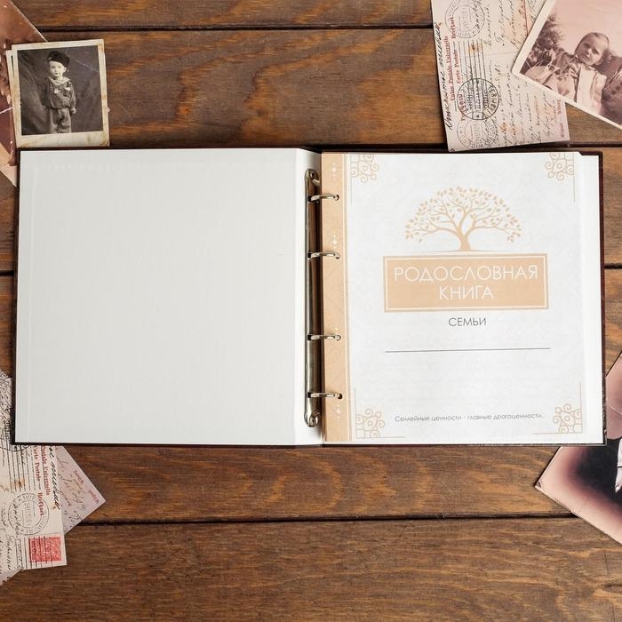 Родословная книга &laquo;Наша семья&raquo;, с деревянным элементом, 84 страницы, 24,5 х 23 х 4 см.
