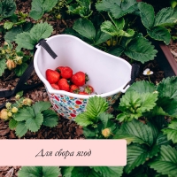 Ёмкость для сбора ягод, 3 л, &laquo;Яркие ягодки&raquo;, белая