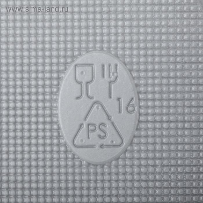 Набор пластиковых одноразовых тарелок, d=16,5 см, 10 шт, цвет белый Набор пластиковых одноразовых тарелок, d=16,5 см, 10 шт, цвет белый