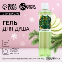 Гель для душа &laquo;С Новым Годом!&raquo;, 250 мл, аромат спелого яблока, ЧИСТОЕ СЧАСТЬЕ