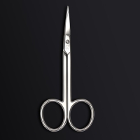 Ножницы маникюрные &laquo;Premium&raquo;, загнутые, узкие, 10,5 см, на блистере, цвет серебристый