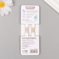 Растущие подарочные карандаши mini "Мята + Паприка" набор 2 шт.