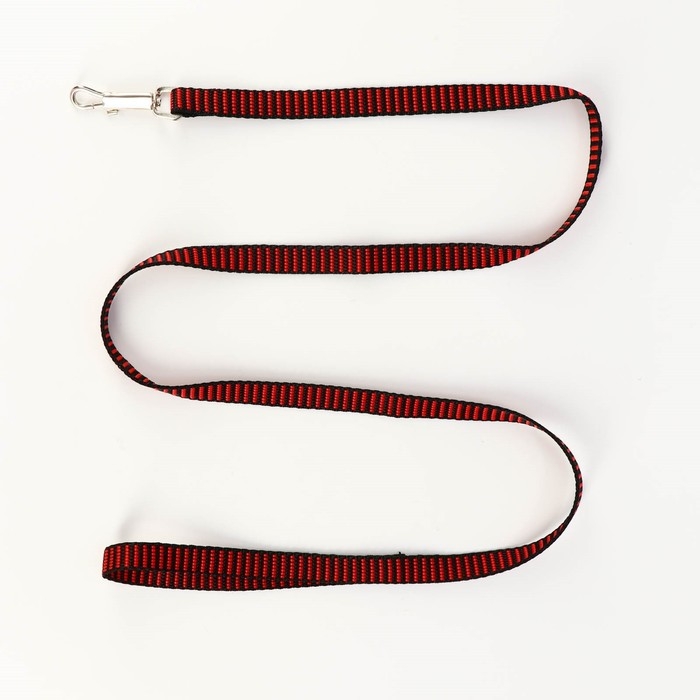 Комплект амуниции рельефный, 1,5 см, шлейка 36-49 см, поводок 120 см, красно-чёрный